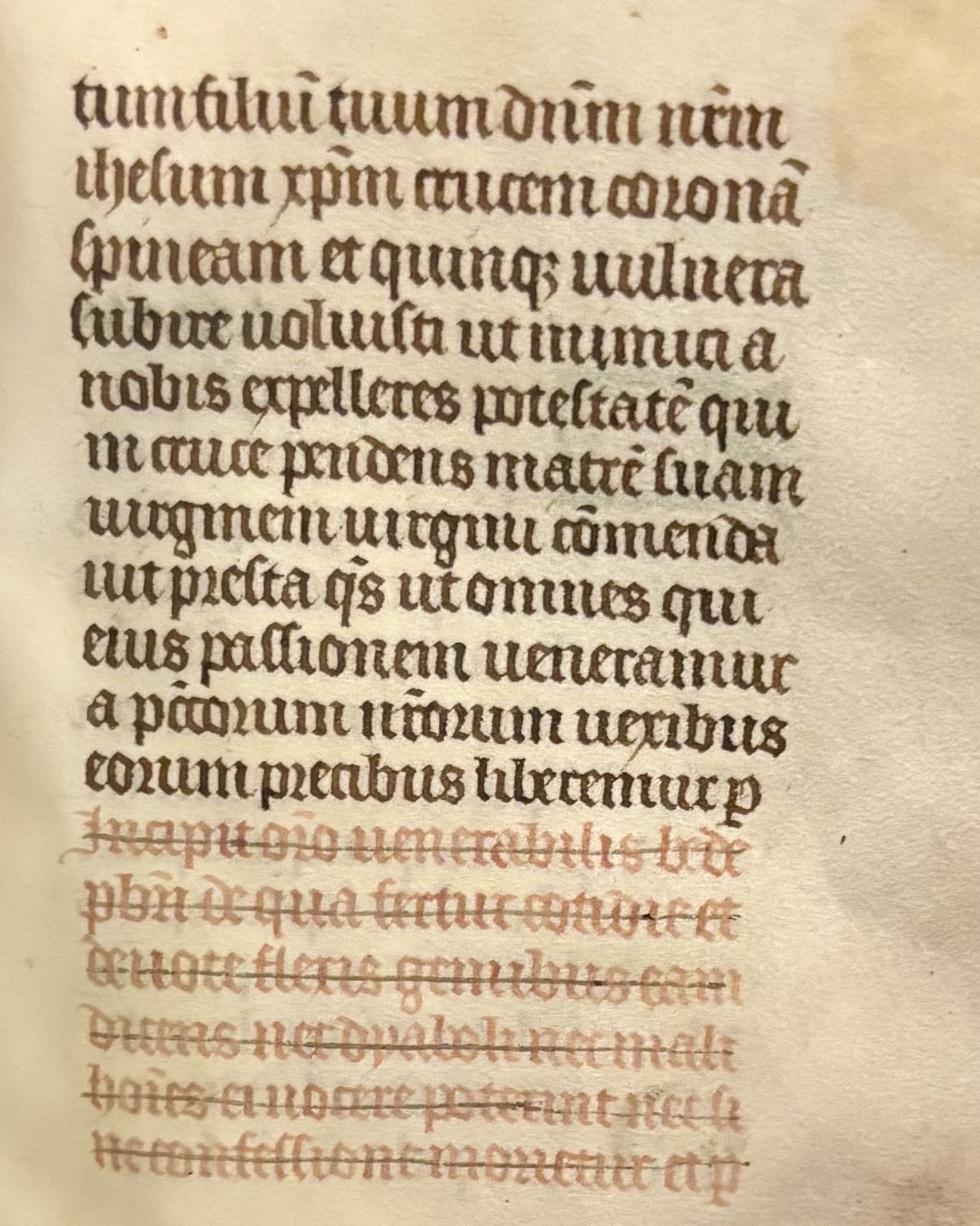 A crossed-out indulgence notice before a prayer in the manuscript Book of Hours.